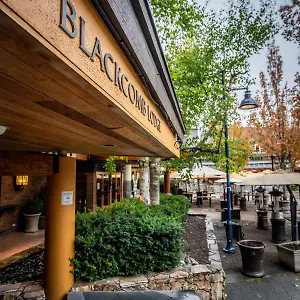 Blackcomb Hotel Whistler